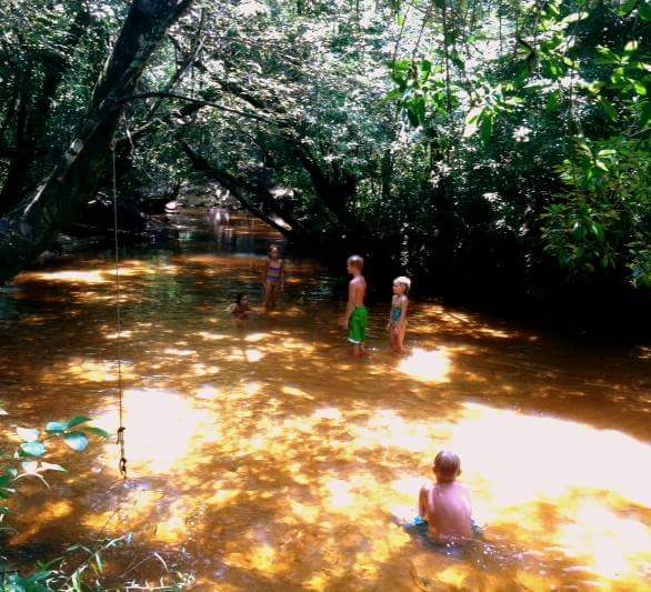 13626444_633563306799709_673095564477057628_n